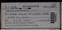 Image Associated With the Occurence